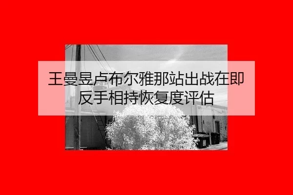 wang-man-yu-lu-bu-er-ya-na-zhan-chu-zhan-zai-ji-fan-shou-xiang-chi-hui-fu-du-ping-gu-2-392.jpg